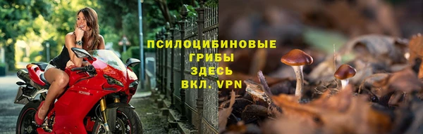 амф Алексеевка