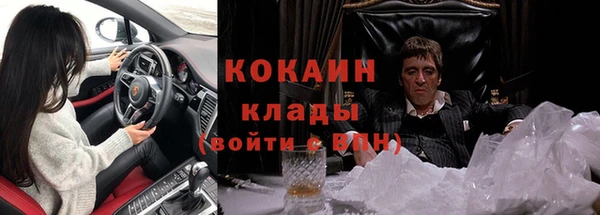амф Алзамай