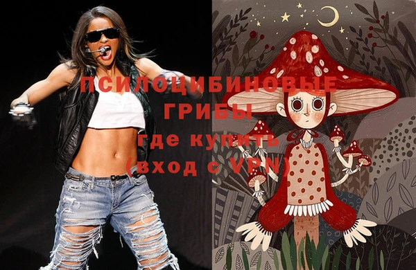 ГАЛЛЮЦИНОГЕННЫЕ ГРИБЫ Абдулино